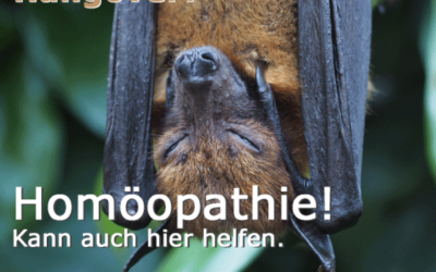 Homöopathie bei Hangover